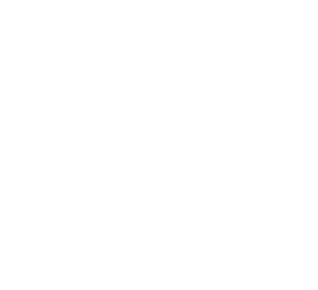 Minnesota Monsters arena football team white logo